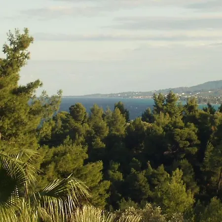 Cozy And Stylish Pool House