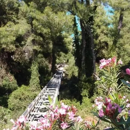 Cozy&stylish Pool House Dom wakacyjny