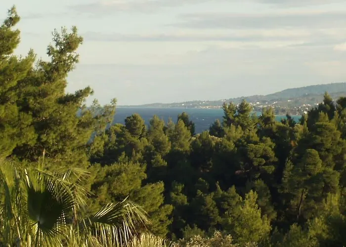 Cozy And Stylish Pool House