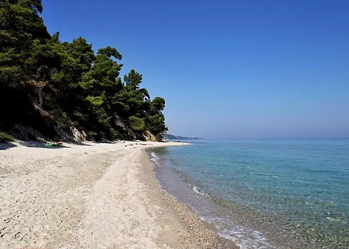 Cozy And Stylish Pool House